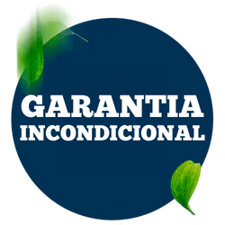 Garantia incondicional